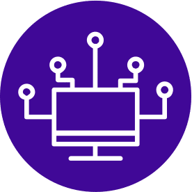 EDM Data Purple Data Delivery