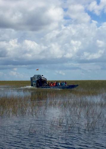 Pre-Conference Activity: Everglades